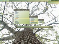 Spring Tree + Wallpaper :: MrRadicalEd Spring Tree + Wallpaper :: MrRadicalEd