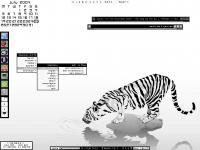 year of the tiger :: thewayofzen year of the tiger :: thewayofzen