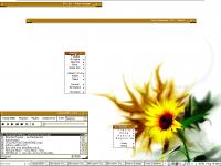 White [Sunflower] :: AlmostX