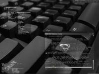 Dark Linux :: krayzone Dark Linux :: krayzone