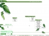 White-Green :: AlmostX
