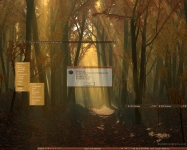 autumwood :: XZero450/Evolution autumwood :: XZero450/Evolution