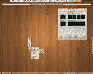 Perfect Orange :: dpcdpc11 Perfect Orange :: dpcdpc11
